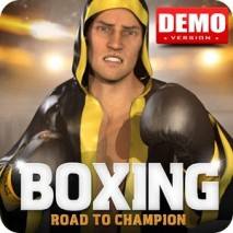 Boxing - Road To Champion dvd cover 