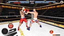 Boxing - Road To Champion  gameplay screenshot