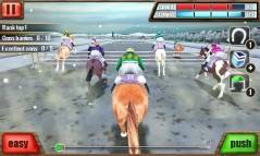 Horse Racing 3D  gameplay screenshot