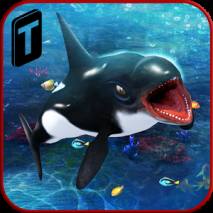 Killer Whale Beach Attack 3D dvd cover 