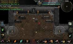 9th Dawn II 2 RPG  gameplay screenshot