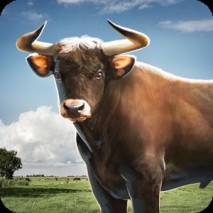 Bull Simulator 3D dvd cover 