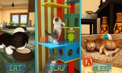 Cute Cat Adventure 2016  gameplay screenshot