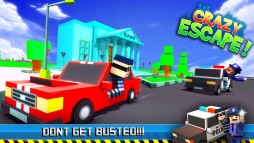 Crazy Escape Awesome Chase  gameplay screenshot