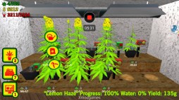 Weed Shop The Game  gameplay screenshot