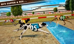 Dog Race & Stunts 2016  gameplay screenshot