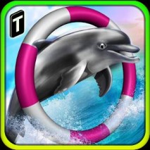 Dolphin Racing 3D dvd cover 