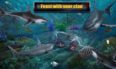 Angry Shark Adventures 3D  gameplay screenshot