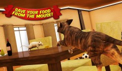 Angry Cat vs. Mouse 2016  gameplay screenshot