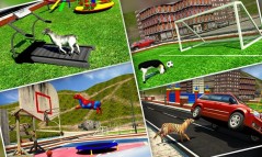 Crazy Goat Reloaded 2016  gameplay screenshot