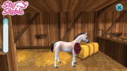 Star Stable Horses  gameplay screenshot