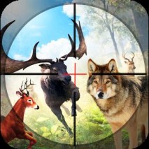 Safari Wild Animal Hunting 3D Cover 